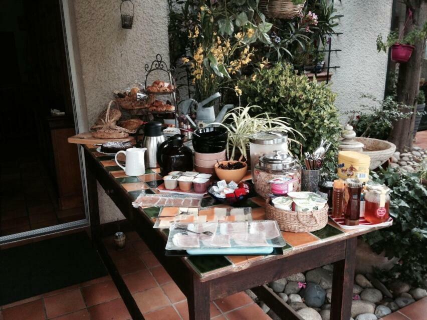 Le Jardin De La Cite Bed and Breakfast Carcassonne Buitenkant foto
