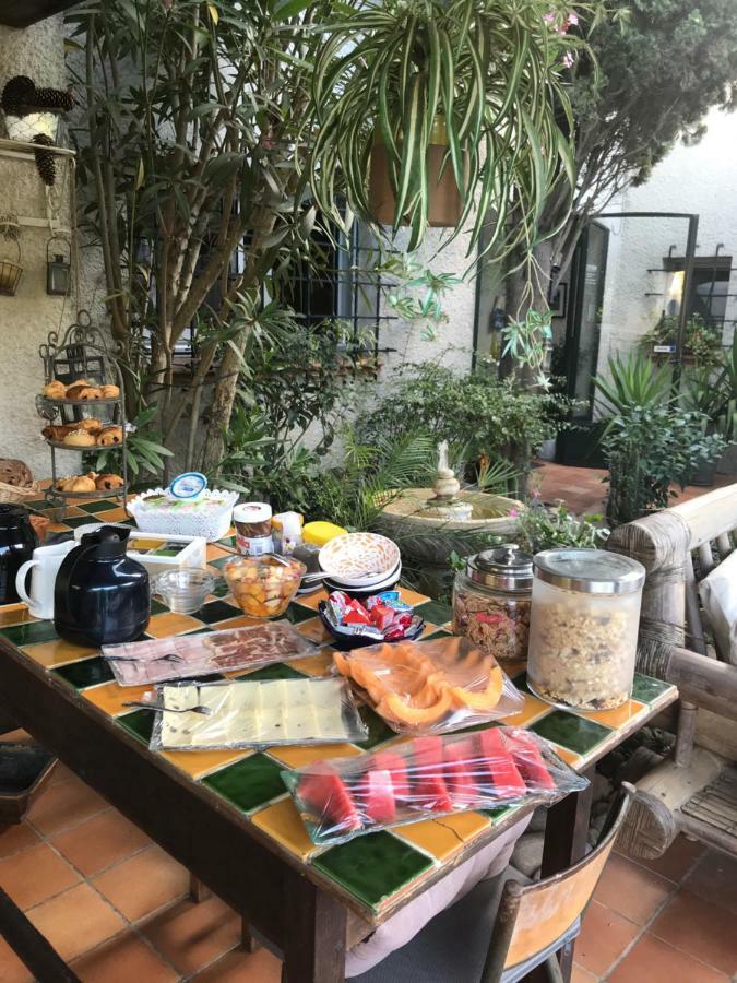 Le Jardin De La Cite Bed and Breakfast Carcassonne Buitenkant foto